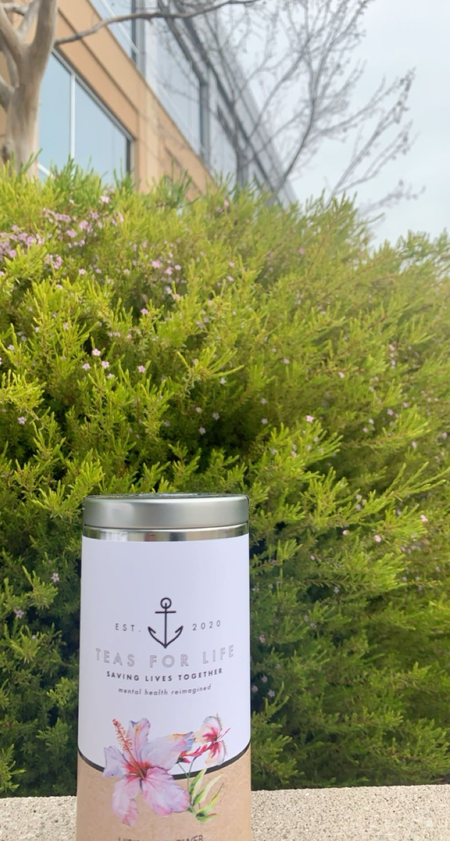 Hibiscus Flower Loose Leaf Tea